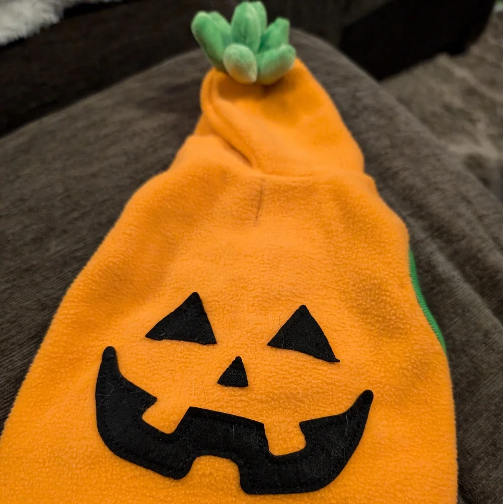 Pumpkin cat Halloween costume